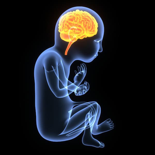 BRAIN ISSUES