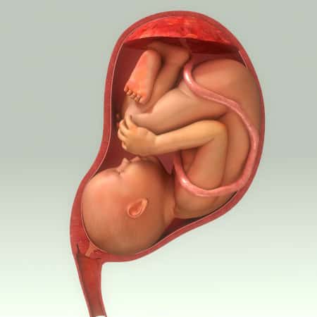 PLACENTA ISSUES