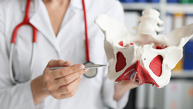 Causes, Symptoms, and Treatments for Pelvic Floor Dysfunction